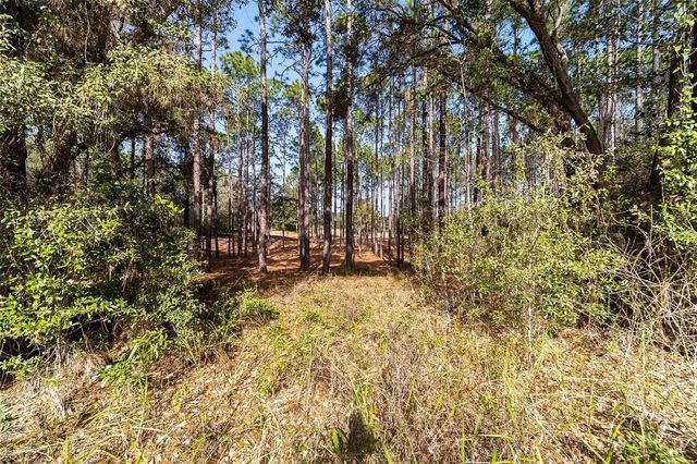 38 CEDAR TREE TERRACE, Ocala, FL 34472