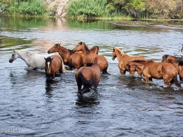 8304 E INCA Street, Mesa, AZ 85207