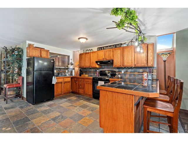 260 Coyote Holler Way, Livermore, CO 80536