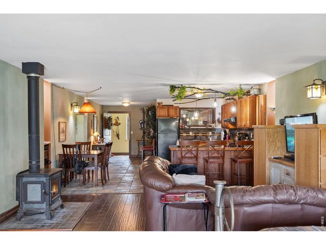 260 Coyote Holler Way, Livermore, CO 80536