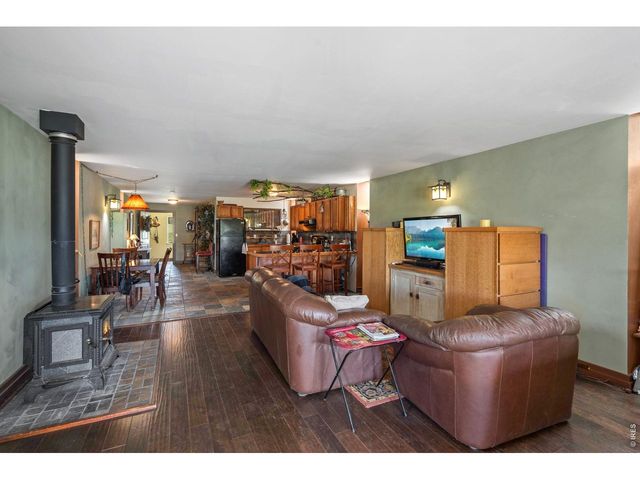 260 Coyote Holler Way, Livermore, CO 80536