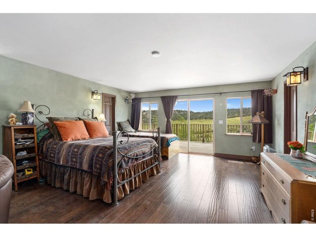 260 Coyote Holler Way, Livermore, CO 80536