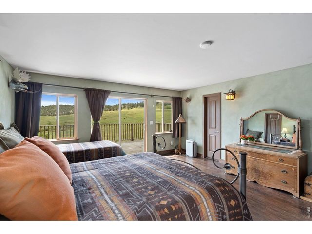 260 Coyote Holler Way, Livermore, CO 80536