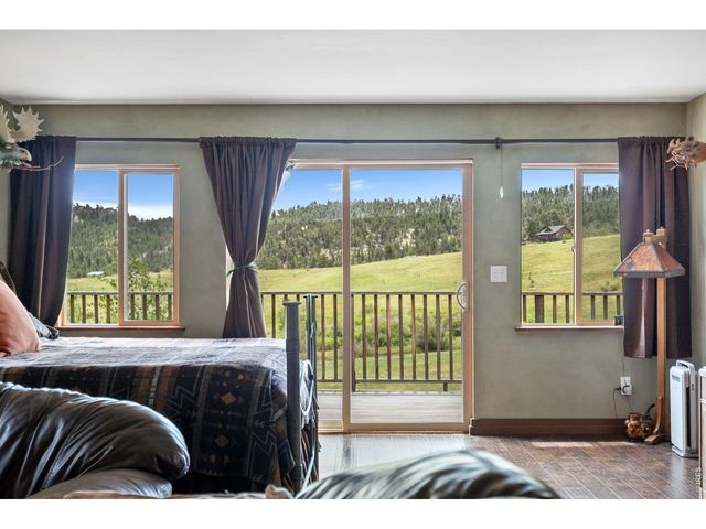 260 Coyote Holler Way, Livermore, CO 80536