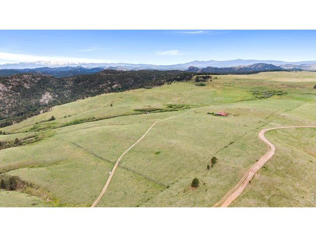 260 Coyote Holler Way, Livermore, CO 80536