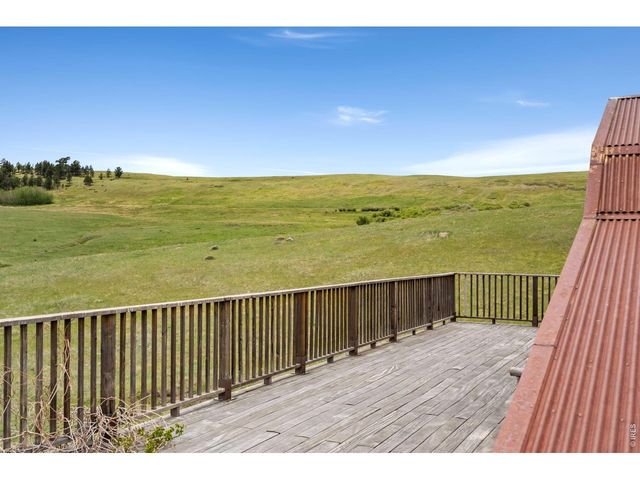 260 Coyote Holler Way, Livermore, CO 80536