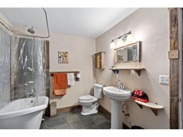 260 Coyote Holler Way, Livermore, CO 80536