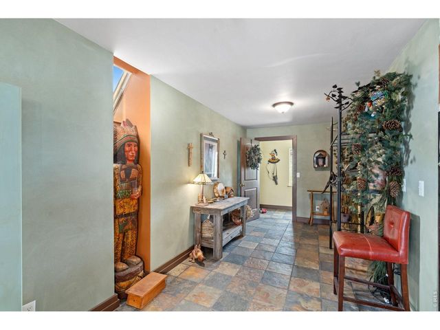 260 Coyote Holler Way, Livermore, CO 80536