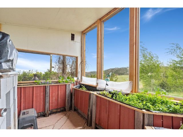 260 Coyote Holler Way, Livermore, CO 80536