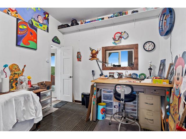 260 Coyote Holler Way, Livermore, CO 80536