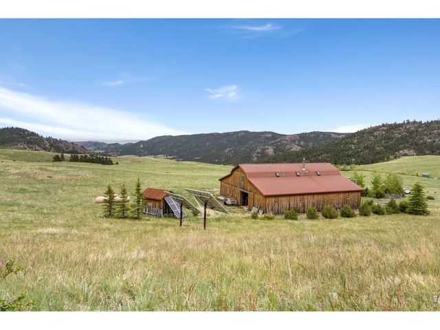 260 Coyote Holler Way, Livermore, CO 80536