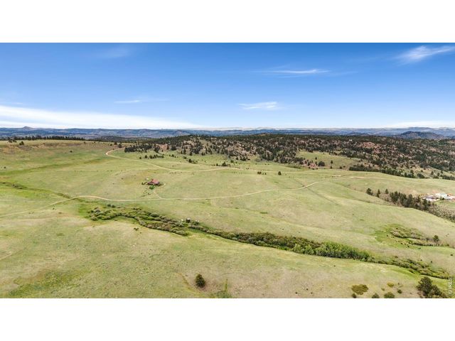 260 Coyote Holler Way, Livermore, CO 80536