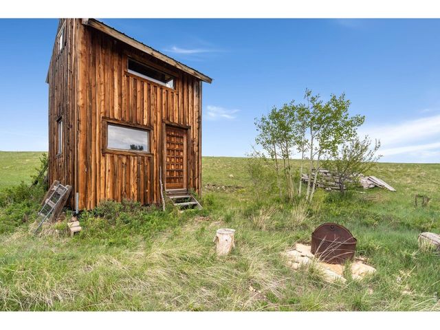 260 Coyote Holler Way, Livermore, CO 80536