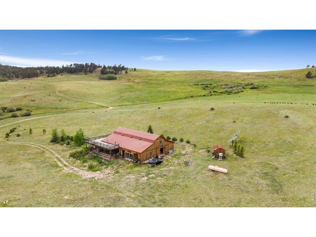260 Coyote Holler Way, Livermore, CO 80536