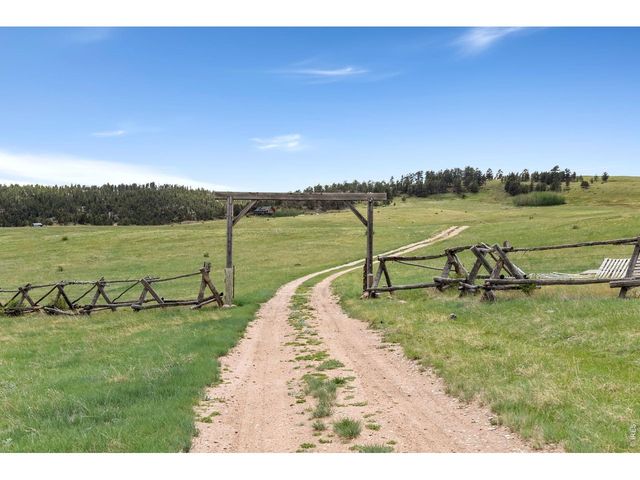 260 Coyote Holler Way, Livermore, CO 80536
