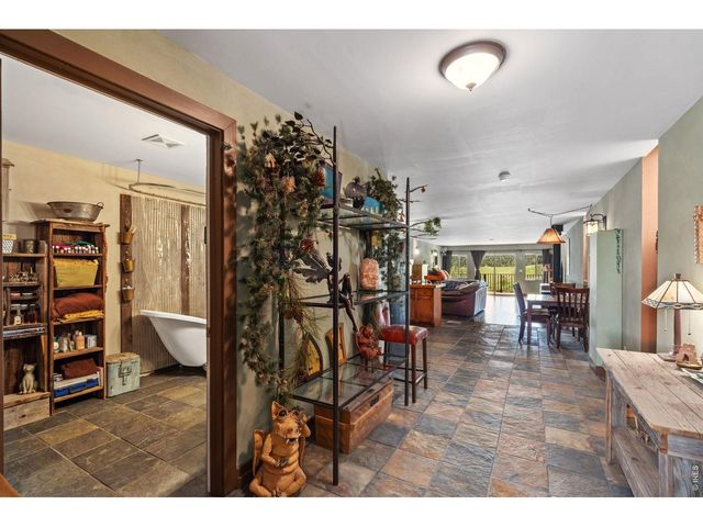 260 Coyote Holler Way, Livermore, CO 80536