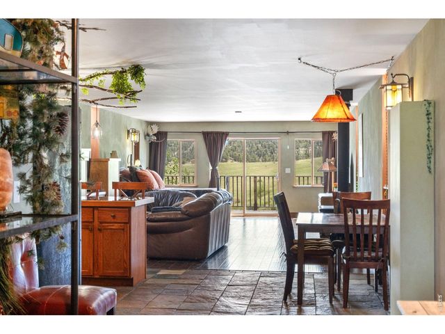 260 Coyote Holler Way, Livermore, CO 80536