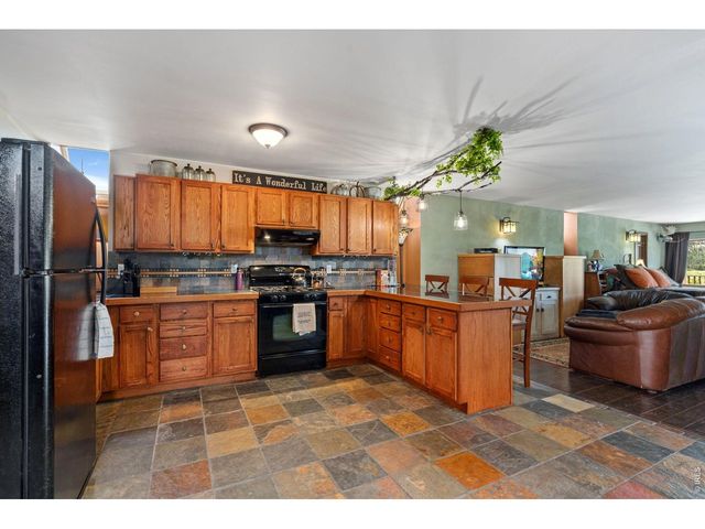 260 Coyote Holler Way, Livermore, CO 80536