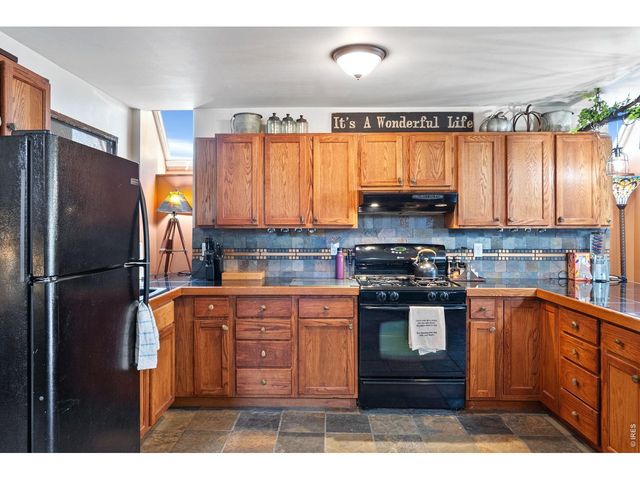 260 Coyote Holler Way, Livermore, CO 80536