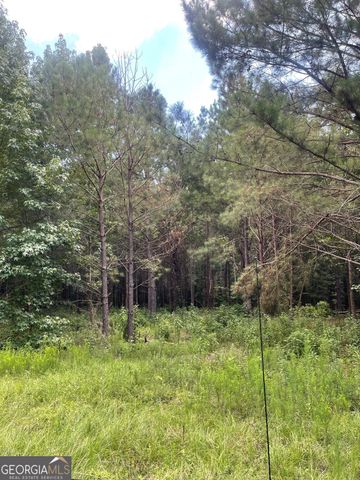 0 Main Street, Milner, GA 30257