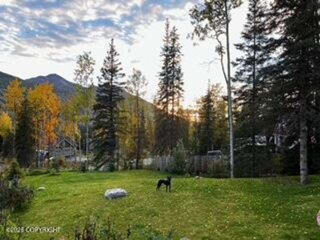 25413 Mc Intyre Road, Eagle River, AK 99577