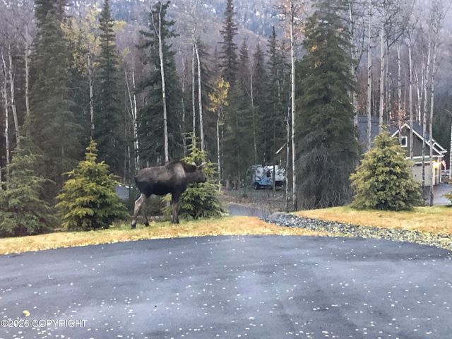 25413 Mc Intyre Road, Eagle River, AK 99577