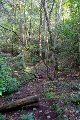 484 Deer Lick Trail, Monteagle, TN 37356