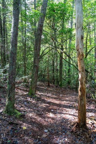 484 Deer Lick Trail, Monteagle, TN 37356