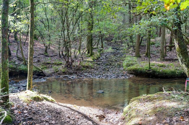 484 Deer Lick Trail, Monteagle, TN 37356