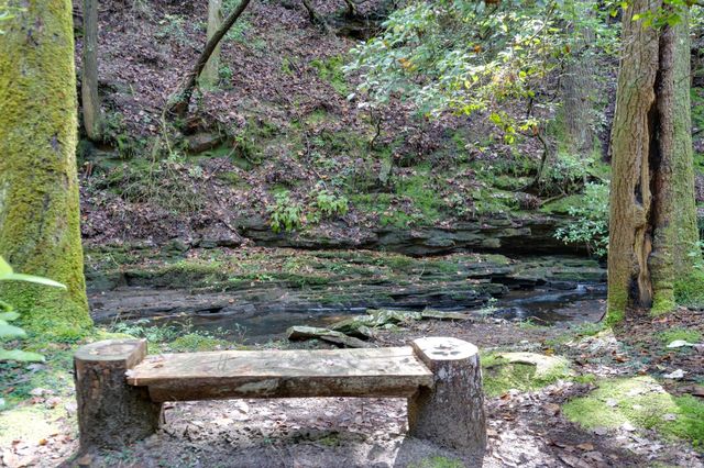 484 Deer Lick Trail, Monteagle, TN 37356