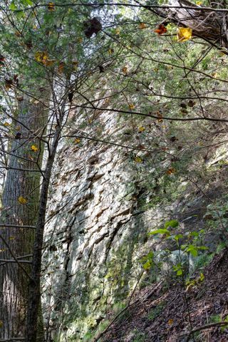 484 Deer Lick Trail, Monteagle, TN 37356