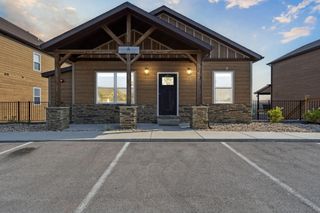 294 Settlers Cv, Kimberling City, MO 65686