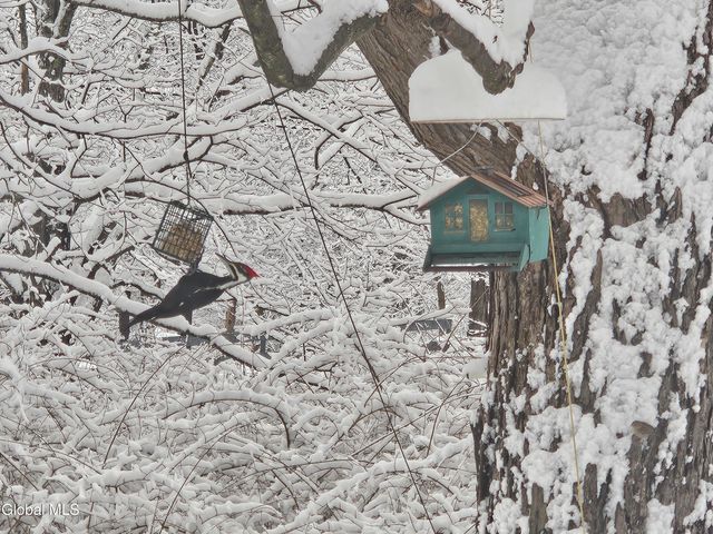 463 Cairo Junction Road, Catskill, NY 12414