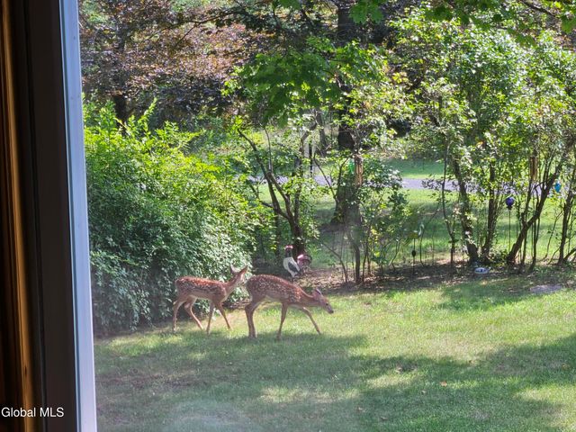 463 Cairo Junction Road, Catskill, NY 12414