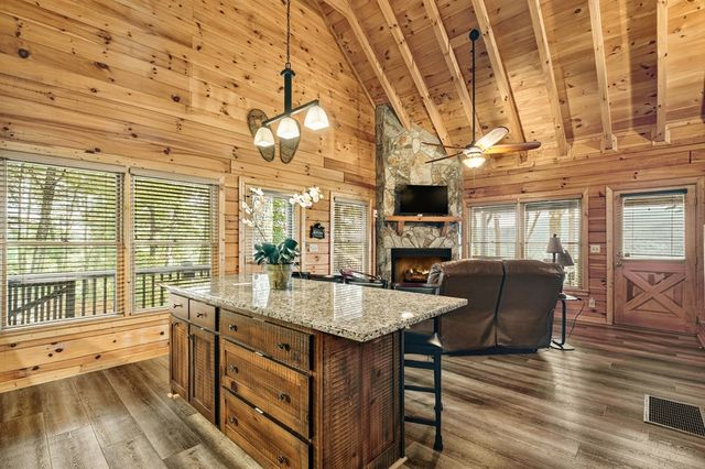 95 Rosiey Lane, Cherry Log, GA 30522