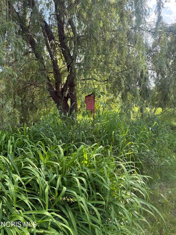 1464 Berkey Road, Swanton, OH 43558