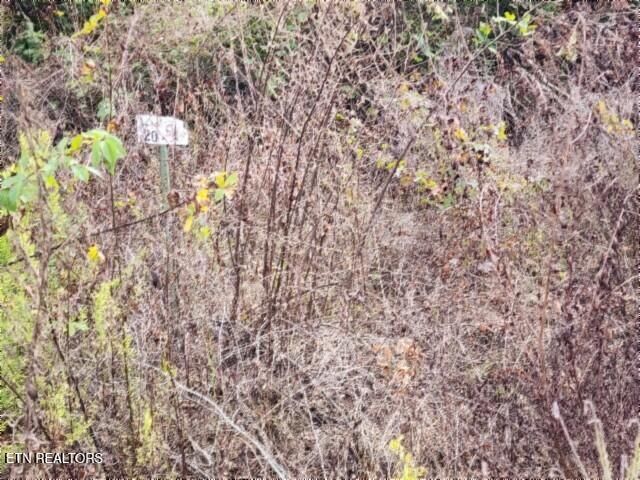 Lot 20 Apache Rd, Jamestown, TN 38556