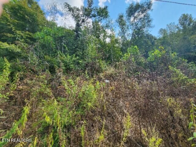 Lot 20 Apache Rd, Jamestown, TN 38556
