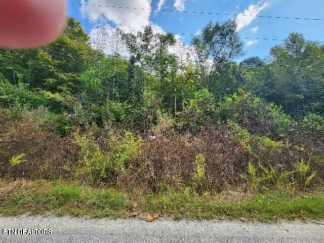 Lot 20 Apache Rd, Jamestown, TN 38556