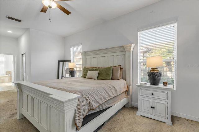 3021 ISOLA BELLA BOULEVARD, Mount Dora, FL 32757