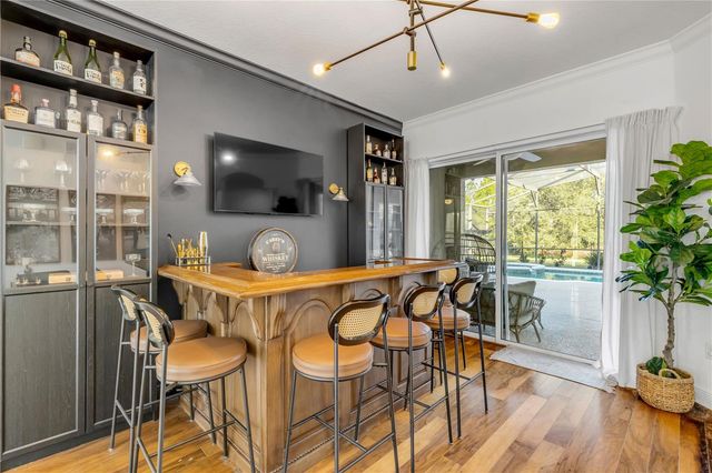 3021 ISOLA BELLA BOULEVARD, Mount Dora, FL 32757