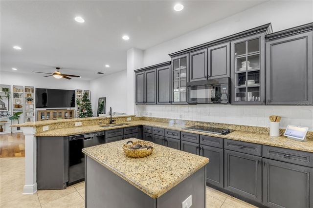 3021 ISOLA BELLA BOULEVARD, Mount Dora, FL 32757