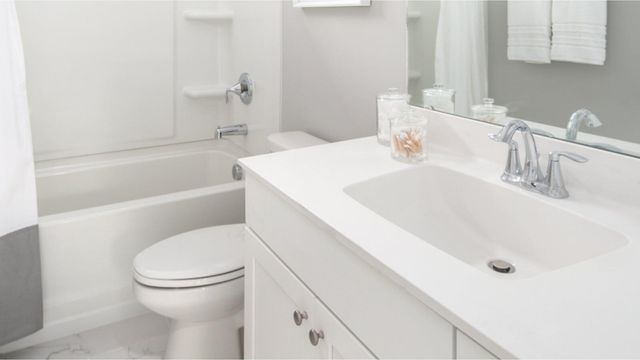 207 Threaded Fern Street, Summerville, SC 29485