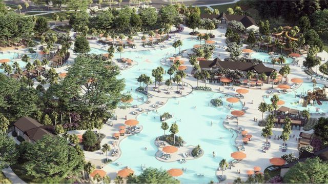 207 Threaded Fern Street, Summerville, SC 29485