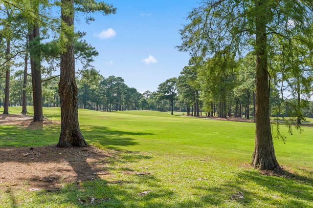 1207 Loblolly Ln., Conway, SC 29526