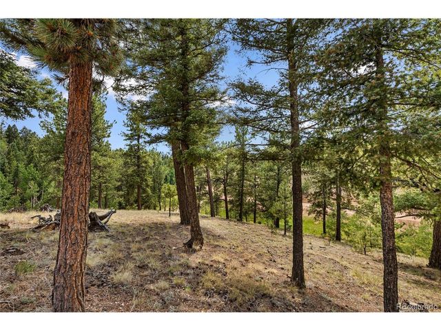 185 Bear Lake Cir, Divide, CO 80814