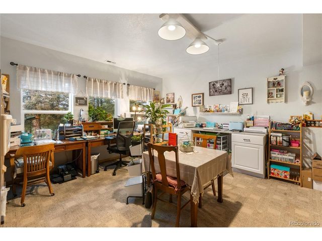 185 Bear Lake Cir, Divide, CO 80814