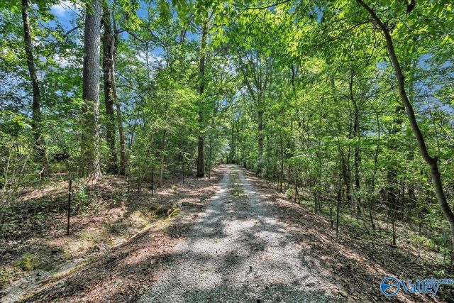 945 County Road 1219, Falkville, AL 35622