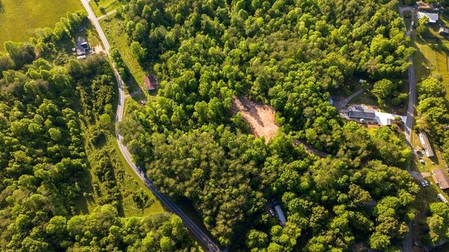 TR 1&2 W Gum Log Road, Warne, NC 28909