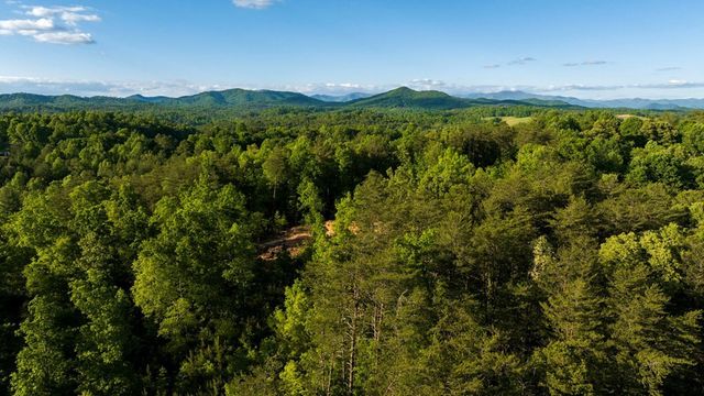 TR 1&2 W Gum Log Road, Warne, NC 28909